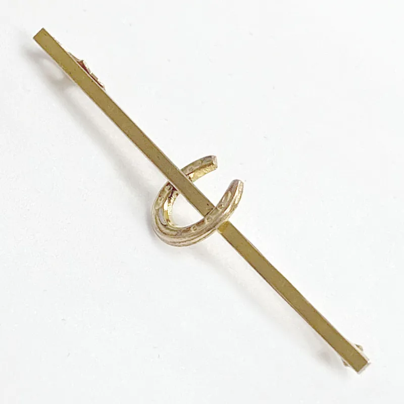 Equetech HorseShoe Stock Pin in colours Gold and Silver