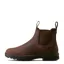 Ariat Womens Cooper Chelsea Boot in Brunette