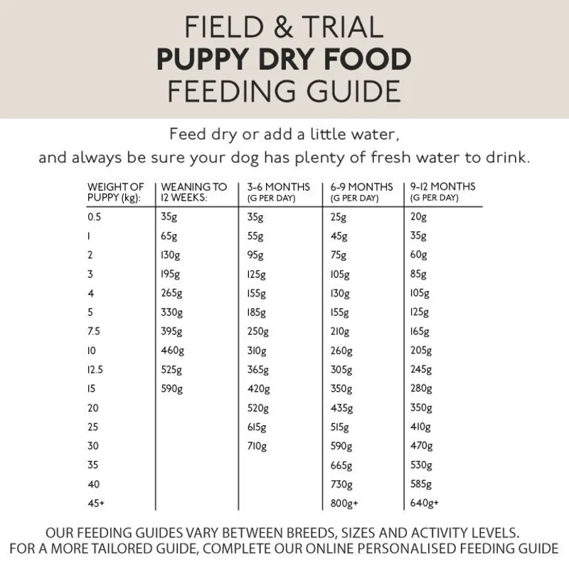 Skinners Field and Trial Puppy-2