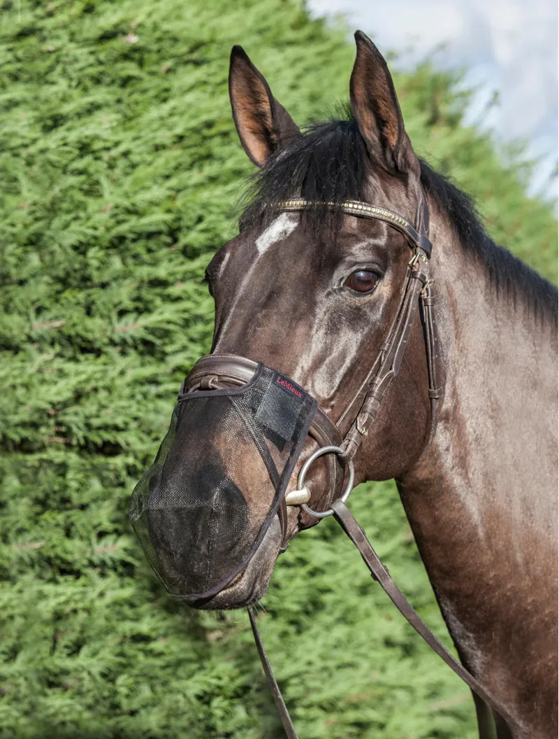 LeMieux Comfort Shield Nose Filter 2 Pack Brown-2