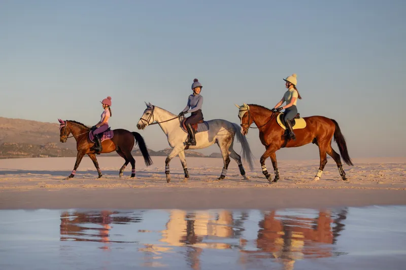 LeMieux Air-Tek Mesh Close Contact Square in Macaron-4