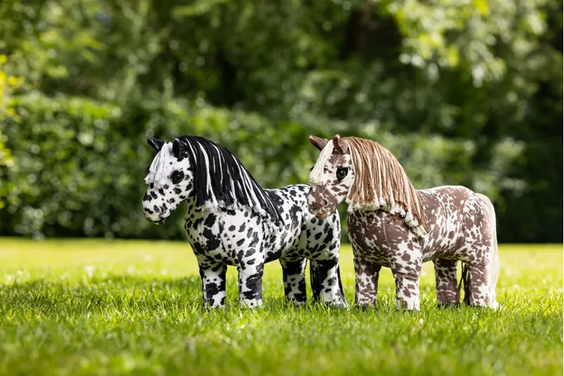 LeMieux Tony Pony Appaloosa Montana-1