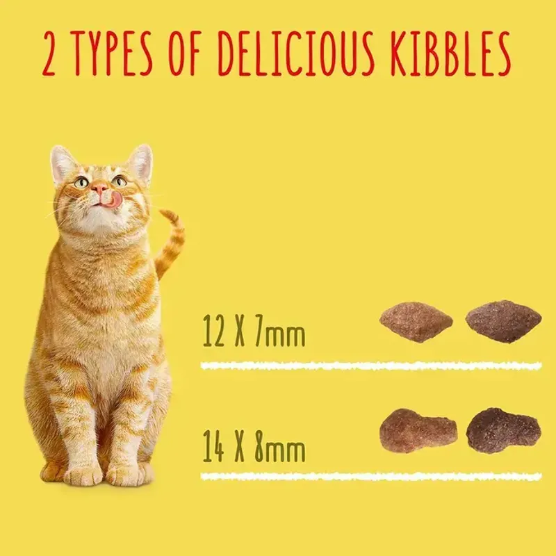 GoCat Duck and Chicken-1