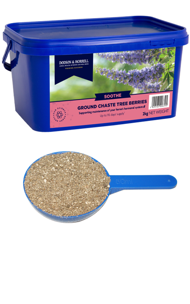 Dodson and Horrell Ground Chaste Tree Berries 2kg