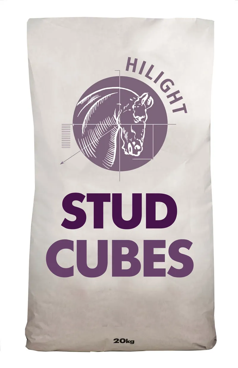 Hilight Stud Cubes