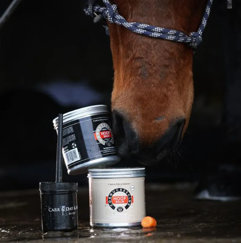 Carr Day and Martin Cornucrescine Daily Hoof Balm Clear 500ml-2