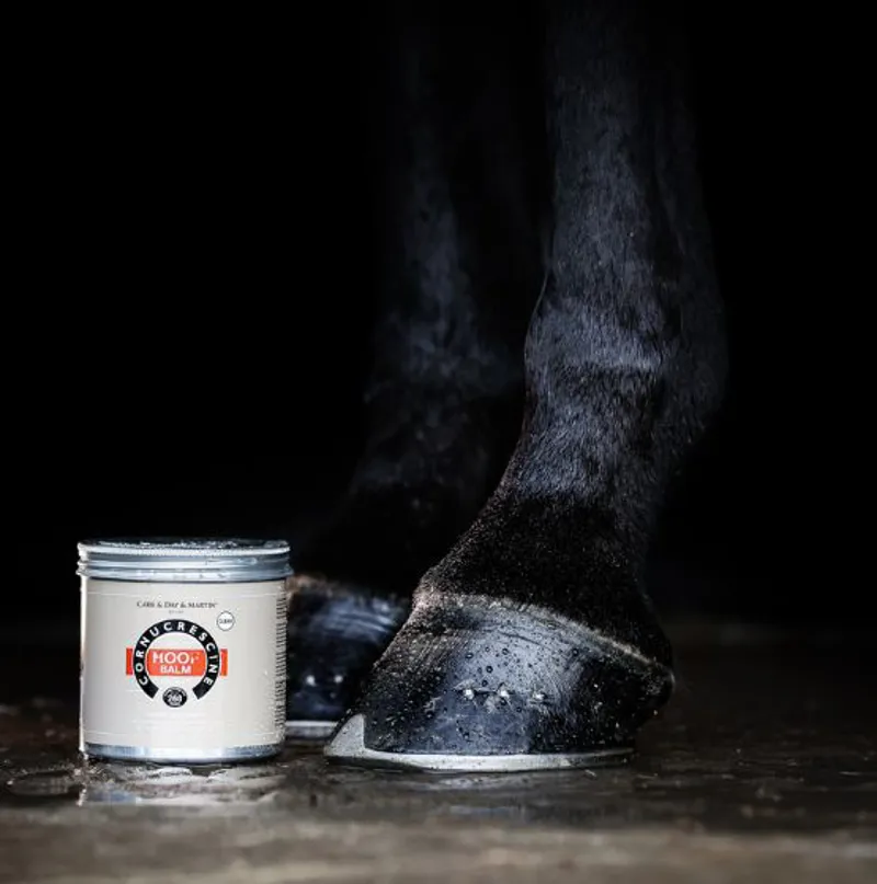 Carr Day and Martin Cornucrescine Daily Hoof Balm Clear 500ml-1