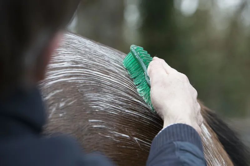 LeMieux Hippo Brush Green-4