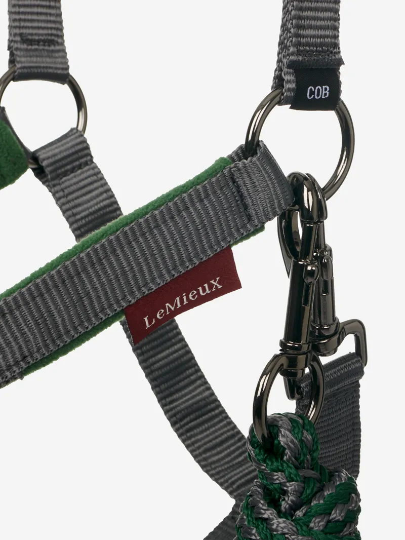 LeMieux Vogue Headcollar and Leadrope in Hunter Green-4