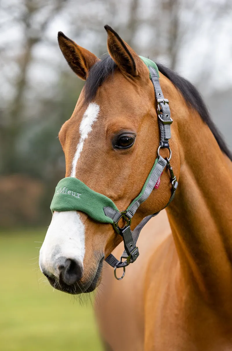 LeMieux Vogue Headcollar and Leadrope in Hunter Green-5