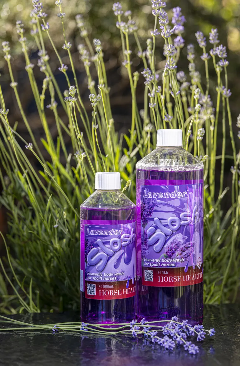 LeMieux Lavendar Slosh Horse Wash-2