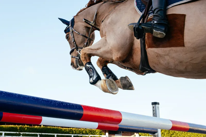 LeMieux Exo-Flex Tendon Boot Black-4