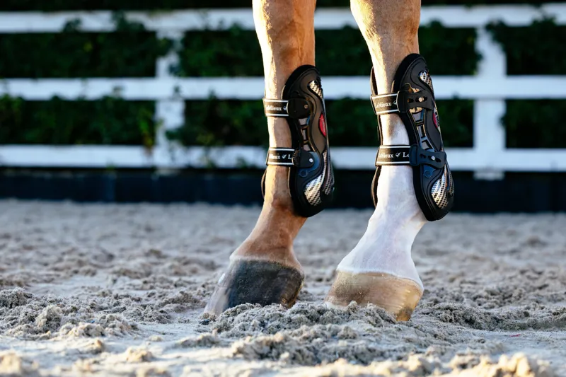 LeMieux Exo-Flex Tendon Boot Black-3