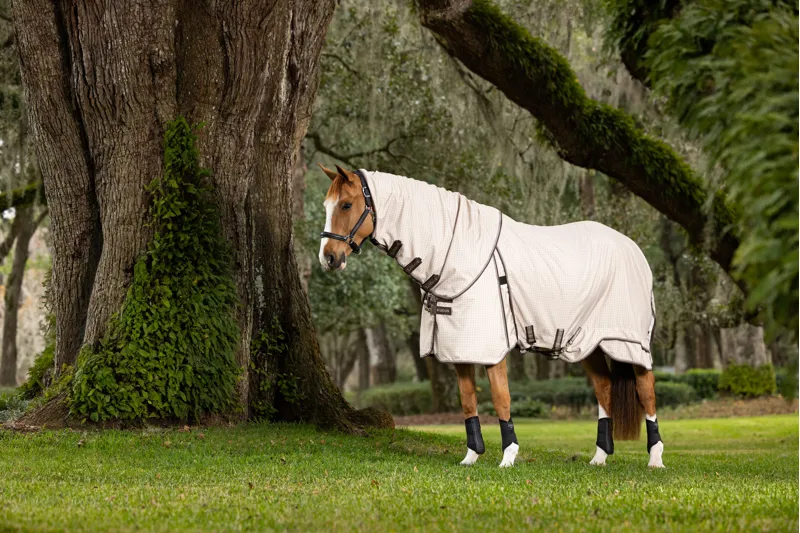 LeMieux Kudos Field Rug Stone-4