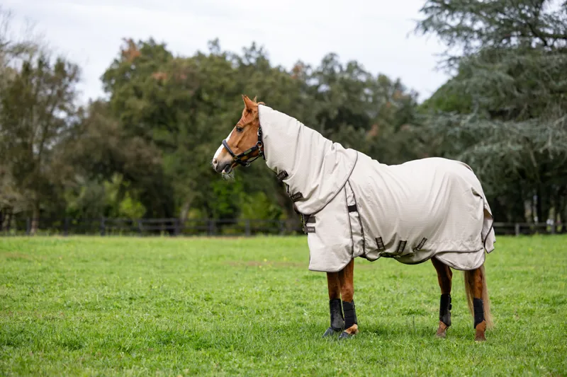 LeMieux Kudos Field Rug Stone-6