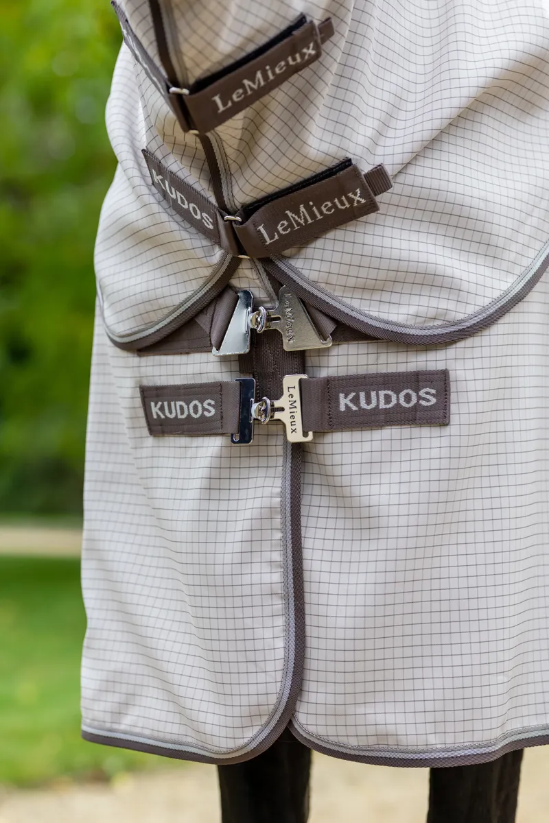 LeMieux Kudos Field Rug Stone