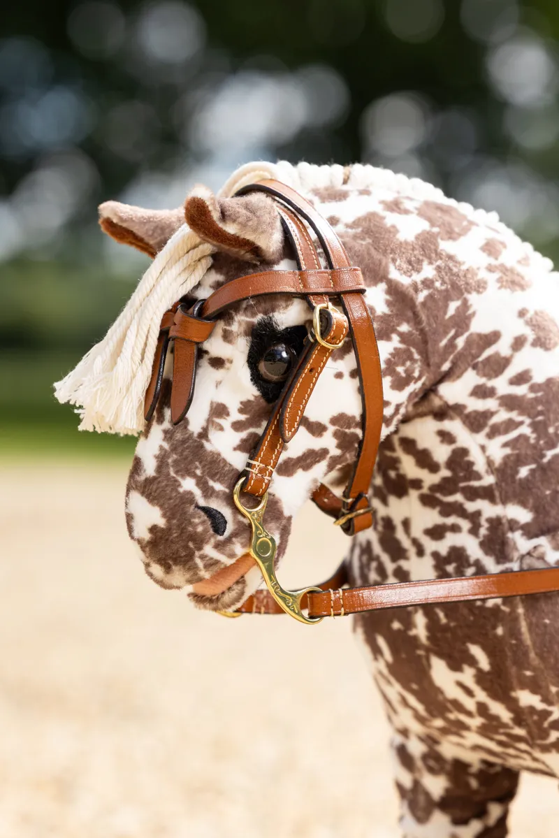LeMieux Tony Pony Appaloosa Montana-4
