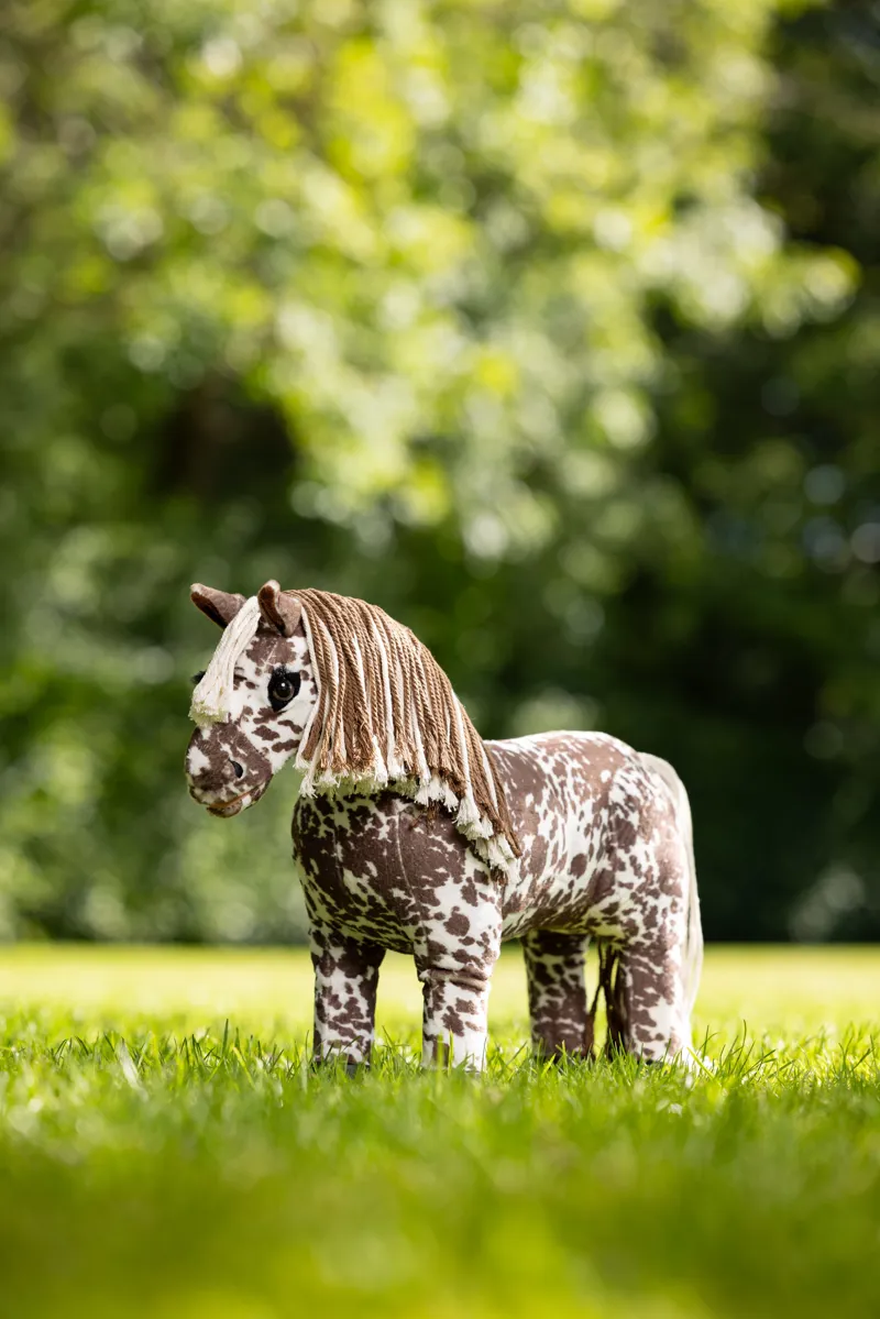 LeMieux Tony Pony Appaloosa Montana-6