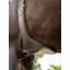 LeMieux Arika Contoured Long Stud Girth Brown