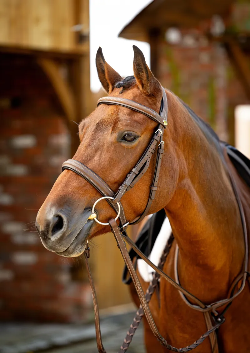 LeMieux Stitched Hunter Bridle With Laced Reins Havana/Silver-3
