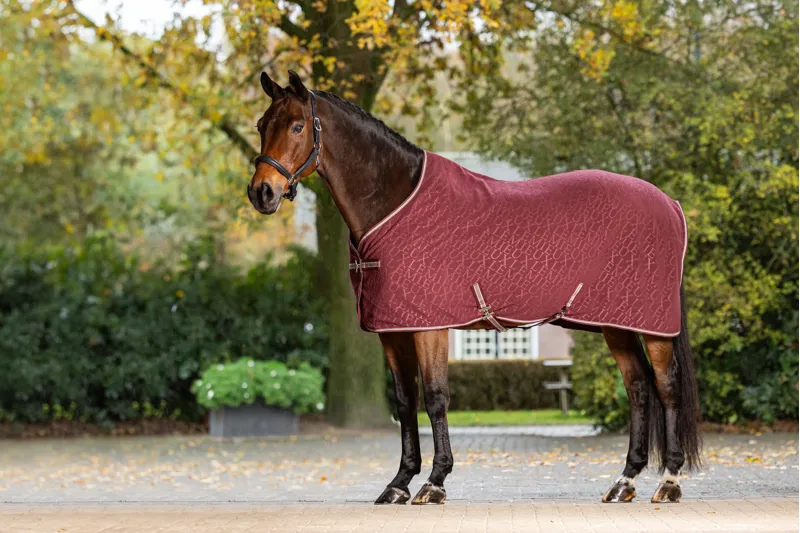 LeMieux Arika Monogram Fleece Rug Burgundy-1