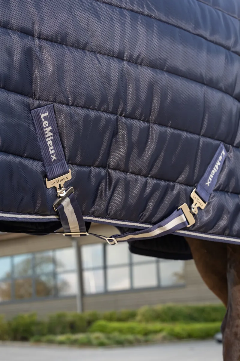 LeMieux Arika Stable-Tek 200g-1