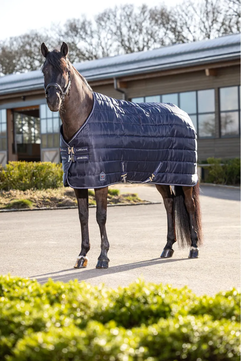 LeMieux Arika Stable-Tek 200g