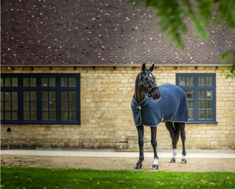 LeMieux Kudos 3D Mesh Travel Rug Navy-3