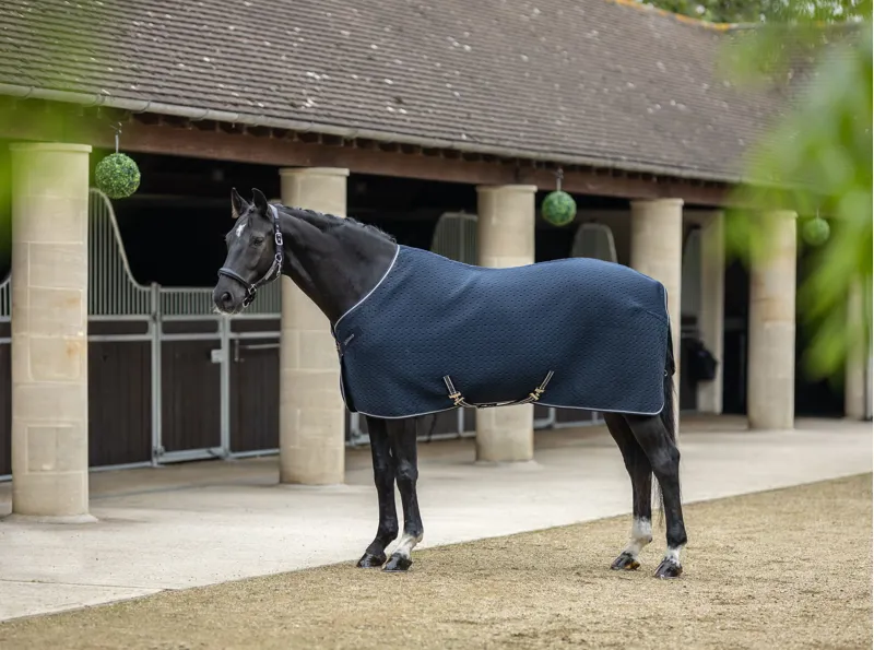 LeMieux Kudos 3D Mesh Travel Rug Navy