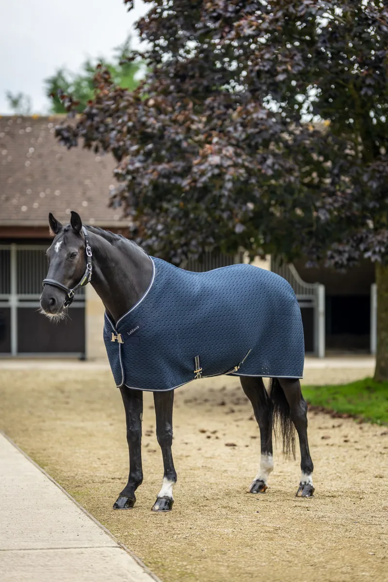 LeMieux Kudos 3D Mesh Travel Rug Navy-5