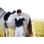 LeMieux Emily Short Sleeve Show Shirt Navy