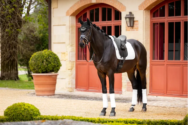  LeMieux Merino+ Half Lined Dressage Square White/White-1