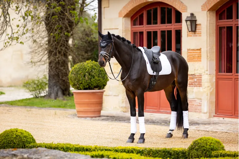  LeMieux Merino+ Half Lined Dressage Square White/White-2