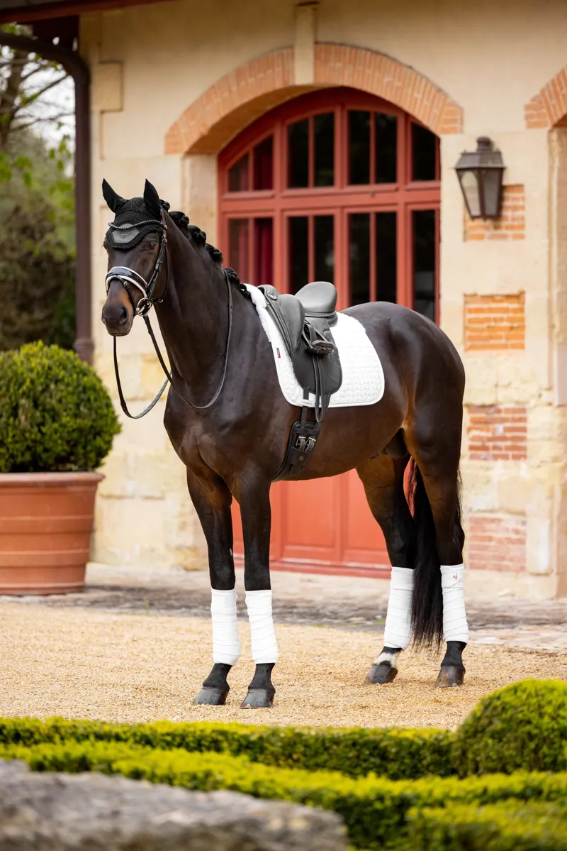  LeMieux Merino+ Half Lined Dressage Square White/White-3