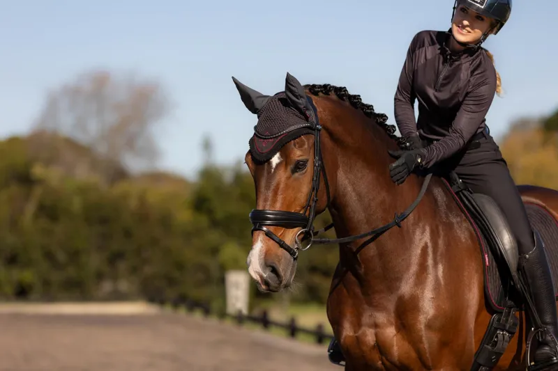 LeMieux Classic Fly Hood Cinder-1