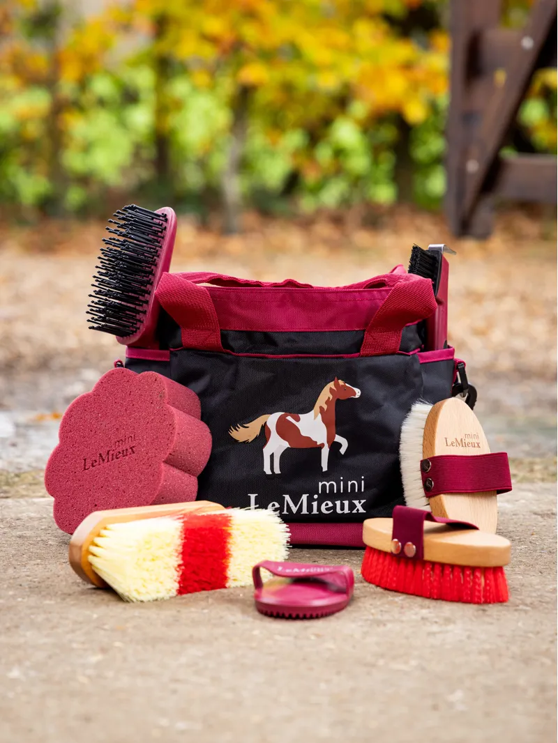 LeMieux Mini Grooming Set Red-3