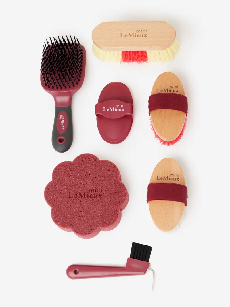 LeMieux Mini Grooming Set Red-2