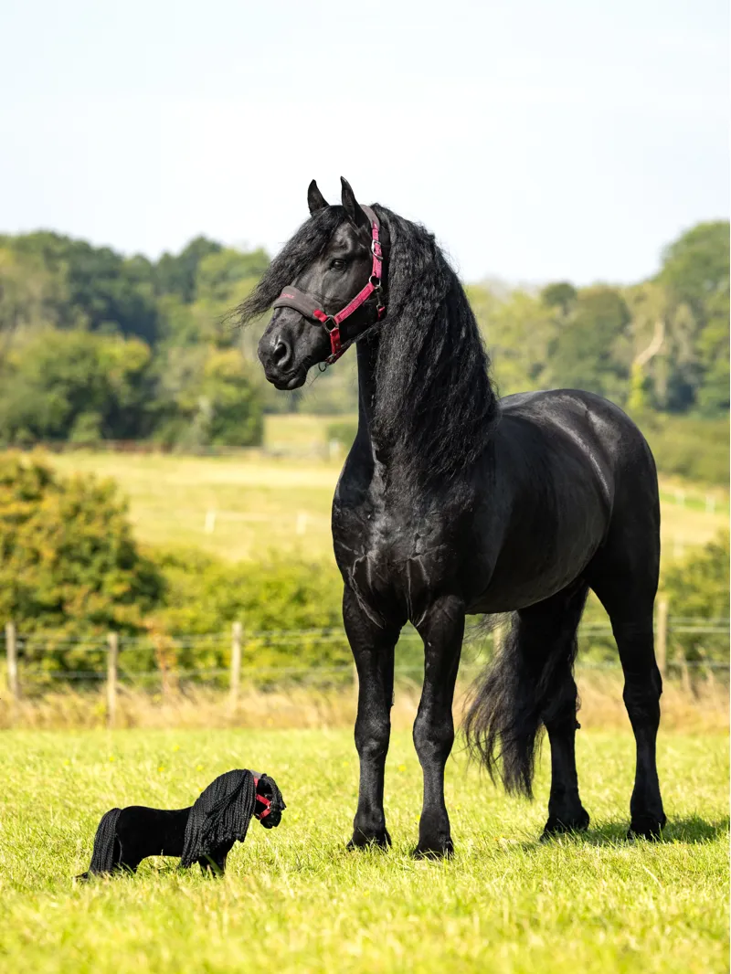 LeMieux Toy Pony Friesian Spike-1