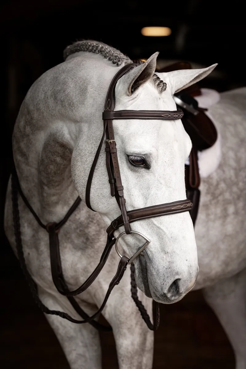 LeMieux Stitched Hunter Bridle With Laced Reins Havana/Silver-1