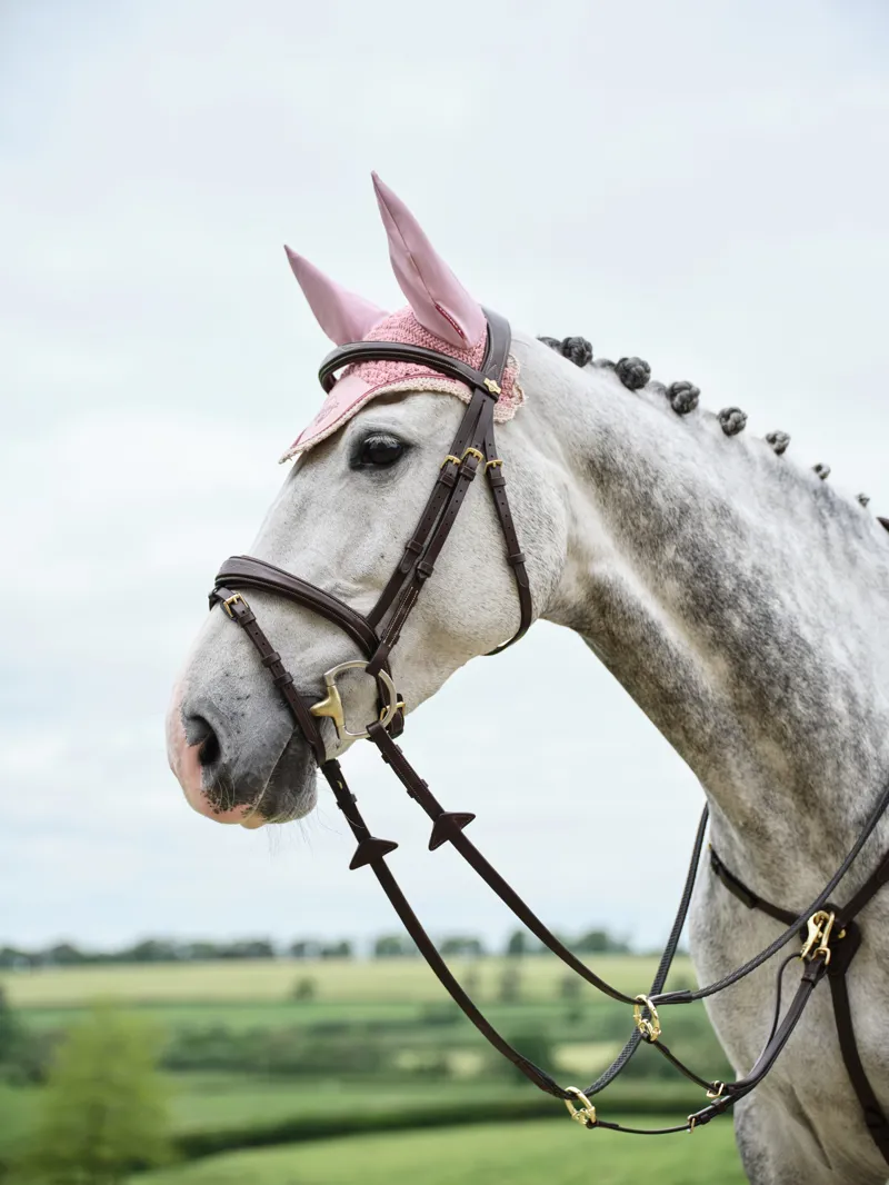 LeMieux Classic Fly Hood Blossom-2