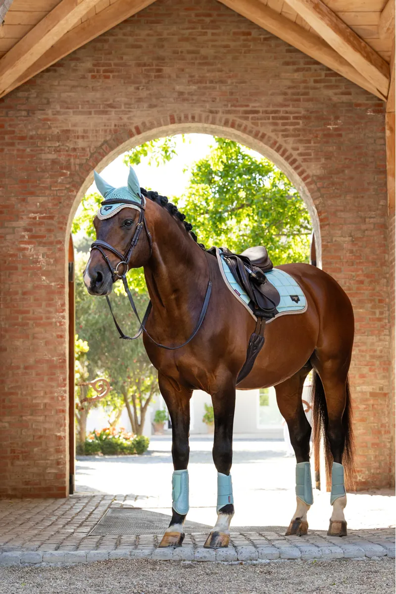 LeMieux Loire Classic Close Contact Square Aqua-1