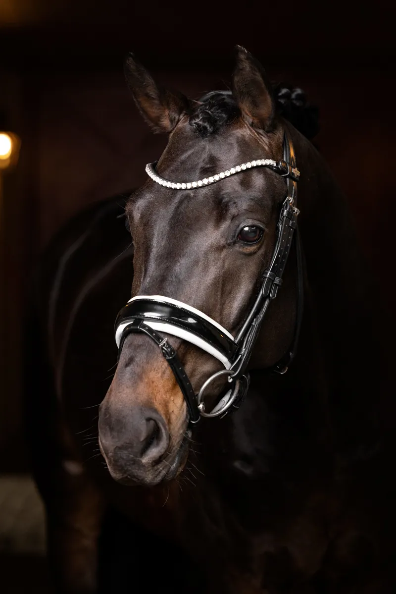 LeMieux Ice Crystal Browband Black-2