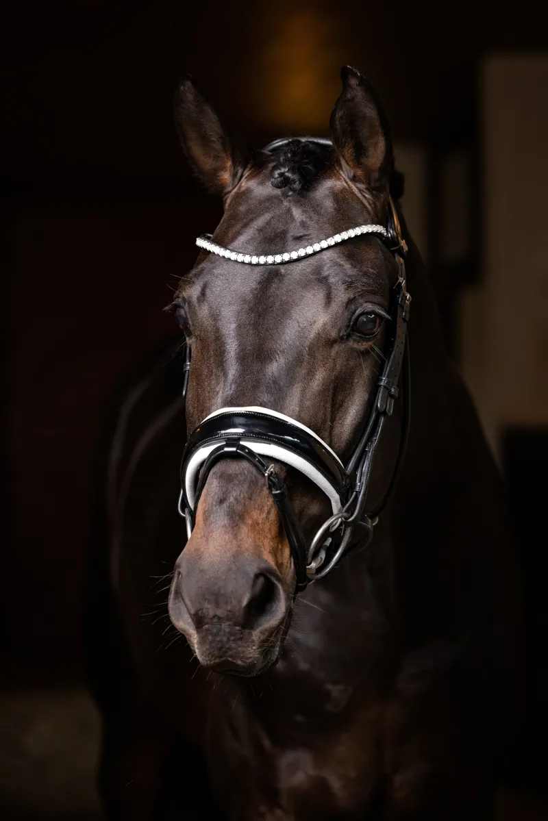 LeMieux Ice Crystal Browband Black-3
