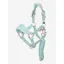 LeMieux Mini Vogue Headcollar and Leadrope Aqua