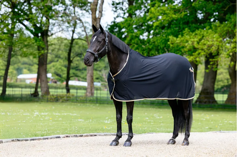 LeMieux Scrim Cooler Black-1