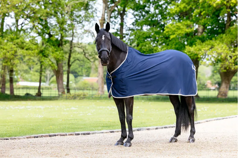 LeMieux Scrim Cooler Navy-1