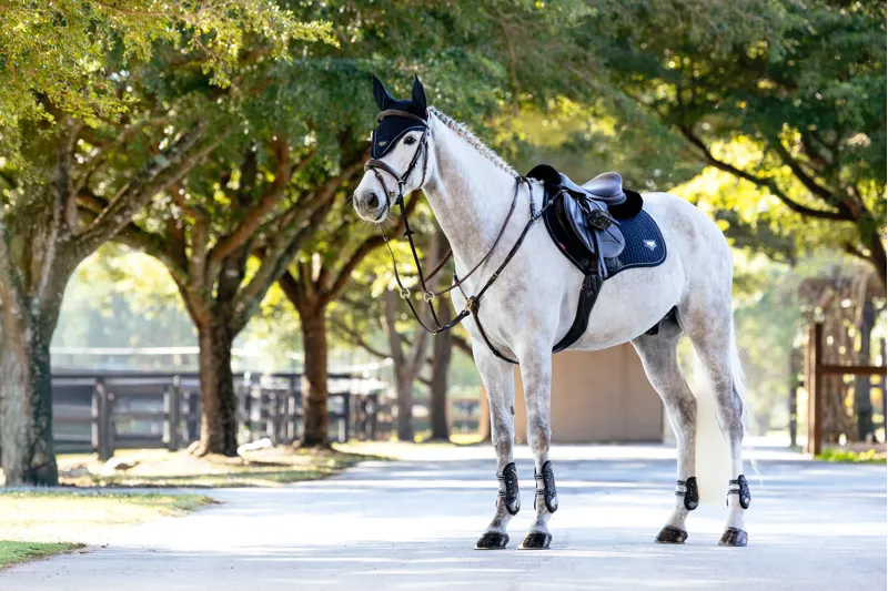 LeMieux Puissance Suede Close Contact Pad Navy-2