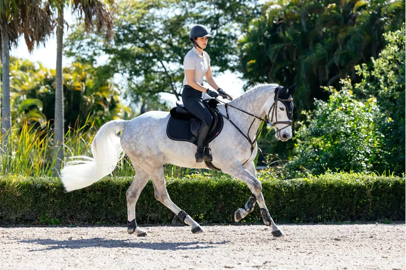 LeMieux Puissance Suede Close Contact Pad Navy-4