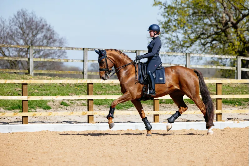 LeMieux Puissance Suede Dressage Pad Navy-1