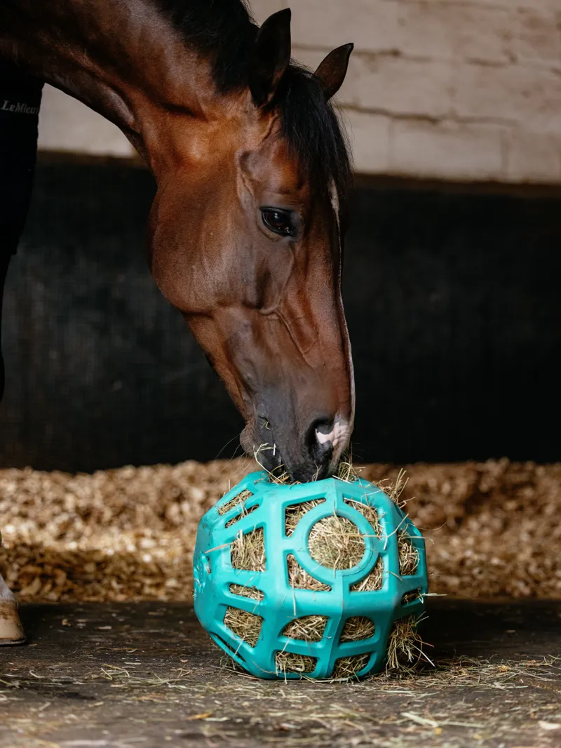 LeMieux Hay Ball Lagoon-3